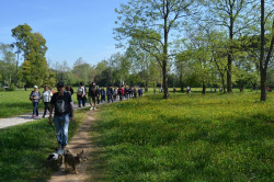 Torrelavega retirar&aacute; varios &aacute;rboles secos o enfermos La Viesca y La Pedrosa