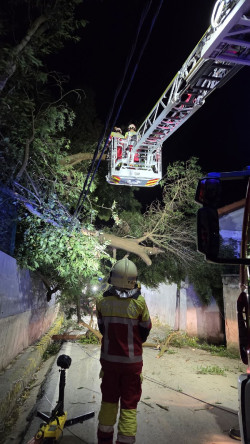  Un &aacute;rbol tirado por el viento en Meruelo cae sobre el tendido el&eacute;ctrico, corta una v&iacute;a y da&ntilde;a una casa
