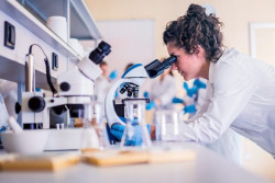 Un compuesto natural del cardamomo podr&iacute;a tener un efecto terap&eacute;utico en el c&aacute;ncer de mama triple negativo
