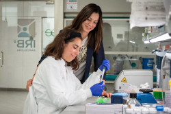 Un estudio logra una "marcada regresi&oacute;n" en c&aacute;ncer de pulm&oacute;n degradando la prote&iacute;na KRAS