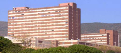 Un experto destaca como la cardiolog&iacute;a intervencionista ha transformado el tratamiento de las enfermedades del coraz&oacute;n