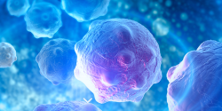 Un nuevo sistema de imagen de tejido no invasivo acelera el diagn&oacute;stico de c&aacute;ncer