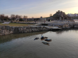 Un s&iacute; rotundo no s&oacute;lo a mantener el mini Zoo de la Magdalena sino a reformularlo y hacer un refugio de animales.   Por Carlos Magdalena