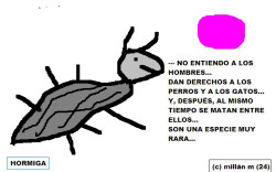 "Unamuno, siempre Unamuno y Andrés Henestrosa".     © jmm caminero 